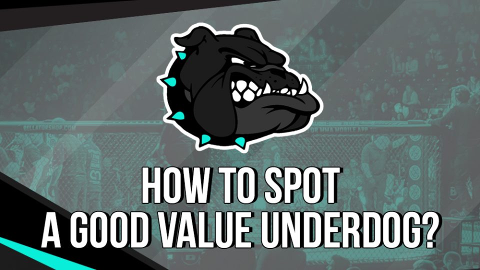 How to spot a good value underdog?